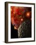 Asteroid Impacts on the Early Earth-Stocktrek Images-Framed Photographic Print