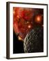 Asteroid Impacts on the Early Earth-Stocktrek Images-Framed Photographic Print