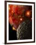 Asteroid Impacts on the Early Earth-Stocktrek Images-Framed Photographic Print