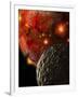 Asteroid Impacts on the Early Earth-Stocktrek Images-Framed Photographic Print