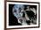 Asteroid Mining-null-Framed Photographic Print