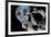 Asteroid Mining-null-Framed Photographic Print