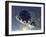 Asteroid Mining-null-Framed Premium Photographic Print