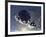 Asteroid Mining-null-Framed Photographic Print