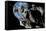 Asteroid Mining-null-Framed Stretched Canvas