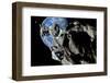 Asteroid Mining-null-Framed Photographic Print