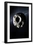 Asteroid-null-Framed Photographic Print