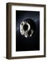 Asteroid-null-Framed Photographic Print