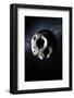 Asteroid-null-Framed Photographic Print