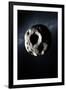 Asteroid-null-Framed Photographic Print