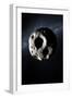 Asteroid-null-Framed Premium Photographic Print