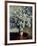 Asters, 1880-Claude Monet-Framed Giclee Print