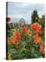 Asters and Dovecote in Gardens of Chateau de Cormatin, Burgundy, France-Lisa S. Engelbrecht-Stretched Canvas