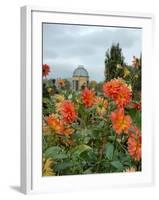 Asters and Dovecote in Gardens of Chateau de Cormatin, Burgundy, France-Lisa S. Engelbrecht-Framed Photographic Print