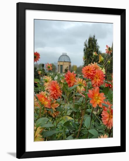 Asters and Dovecote in Gardens of Chateau de Cormatin, Burgundy, France-Lisa S. Engelbrecht-Framed Photographic Print