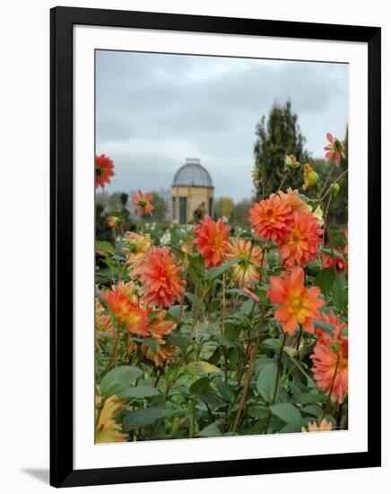 Asters and Dovecote in Gardens of Chateau de Cormatin, Burgundy, France-Lisa S. Engelbrecht-Framed Photographic Print