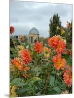 Asters and Dovecote in Gardens of Chateau de Cormatin, Burgundy, France-Lisa S. Engelbrecht-Mounted Photographic Print