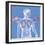 Asthma, Drawing-Caroline Arquevaux-Framed Giclee Print