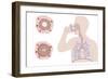 Asthma Pathology And Treatment, Diagram-Peter Gardiner-Framed Photographic Print