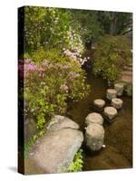 Asticou Azalea Gardens in Northeast Harbor, Mt. Desert Island, Maine, USA-Jerry & Marcy Monkman-Stretched Canvas