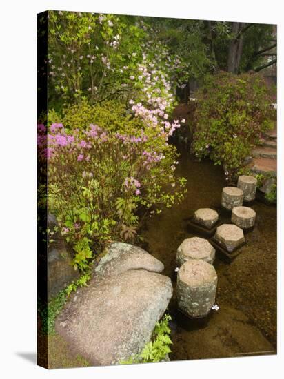 Asticou Azalea Gardens in Northeast Harbor, Mt. Desert Island, Maine, USA-Jerry & Marcy Monkman-Stretched Canvas