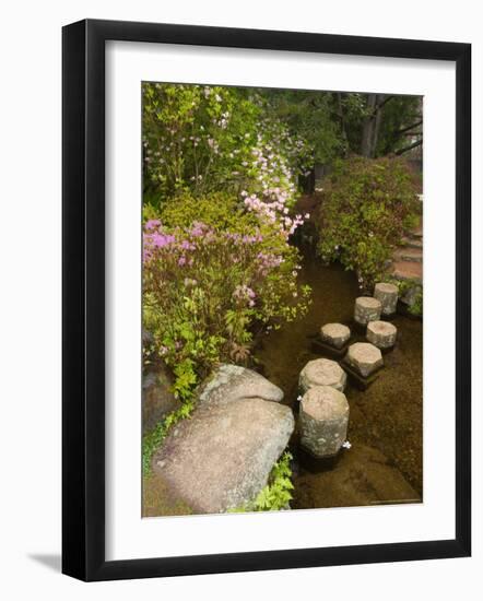 Asticou Azalea Gardens in Northeast Harbor, Mt. Desert Island, Maine, USA-Jerry & Marcy Monkman-Framed Photographic Print