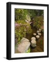 Asticou Azalea Gardens in Northeast Harbor, Mt. Desert Island, Maine, USA-Jerry & Marcy Monkman-Framed Photographic Print