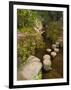 Asticou Azalea Gardens in Northeast Harbor, Mt. Desert Island, Maine, USA-Jerry & Marcy Monkman-Framed Photographic Print