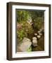 Asticou Azalea Gardens in Northeast Harbor, Mt. Desert Island, Maine, USA-Jerry & Marcy Monkman-Framed Photographic Print