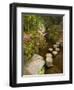 Asticou Azalea Gardens in Northeast Harbor, Mt. Desert Island, Maine, USA-Jerry & Marcy Monkman-Framed Photographic Print