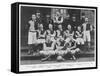 Aston Villa F.C in 1894-null-Framed Stretched Canvas