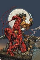 Astonishing Tales No.4 Cover: Daredevil, Wolverine and Punisher-Kenneth Rocafort-Lamina Framed Poster