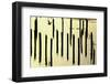 Astoria, Oregon-Art Wolfe-Framed Photographic Print