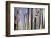 Astoria, Oregon-Art Wolfe-Framed Photographic Print