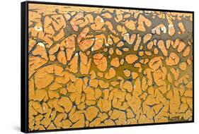 Astoria, Oregon-Art Wolfe-Framed Stretched Canvas