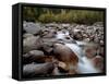 Astoria River, Jasper National Park, UNESCO World Heritage Site, Alberta, Canada, North America-James Hager-Framed Stretched Canvas