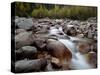 Astoria River, Jasper National Park, UNESCO World Heritage Site, Alberta, Canada, North America-James Hager-Stretched Canvas