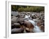 Astoria River, Jasper National Park, UNESCO World Heritage Site, Alberta, Canada, North America-James Hager-Framed Photographic Print