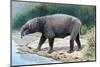 Astrapotherium-null-Mounted Photographic Print