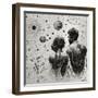 Astro Cruise 25 - We Come From Different Planets-Ben Heine-Framed Giclee Print