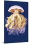 Astro-Jellyfish-Ernst Haeckel-Mounted Art Print