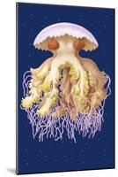 Astro-Jellyfish-Ernst Haeckel-Mounted Art Print