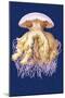 Astro-Jellyfish-Ernst Haeckel-Mounted Art Print