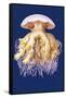 Astro-Jellyfish-Ernst Haeckel-Framed Stretched Canvas