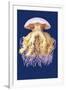 Astro-Jellyfish-Ernst Haeckel-Framed Art Print