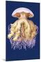 Astro-Jellyfish-Ernst Haeckel-Mounted Art Print