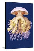 Astro-Jellyfish-Ernst Haeckel-Stretched Canvas