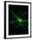 Astrocyte Nerve Cell-Riccardo Cassiani-ingoni-Framed Photographic Print