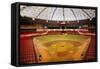 Astrodome Stadium-null-Framed Stretched Canvas