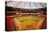 Astrodome Stadium-null-Stretched Canvas